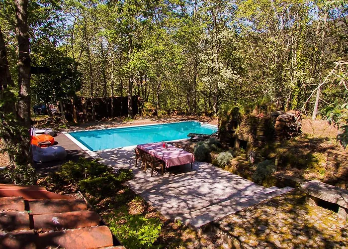 Dom wakacyjny Liiiving In | Oak Tree Chill House Caminha