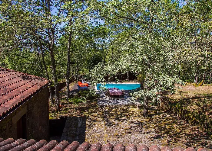 Dom wakacyjny Liiiving In | Oak Tree Chill House Caminha