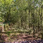 Liiiving In Caminha | Oak Tree Chill House