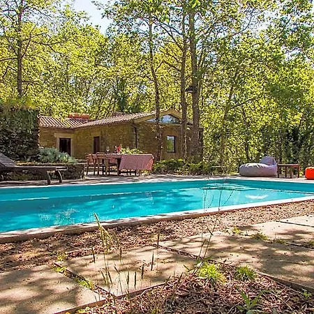 Liiiving In | Oak Tree Chill House * Caminha