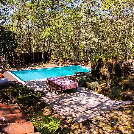 Liiiving In | Oak Tree Chill House Feriehus *
