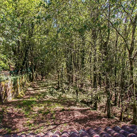 Liiiving In | Oak Tree Chill House