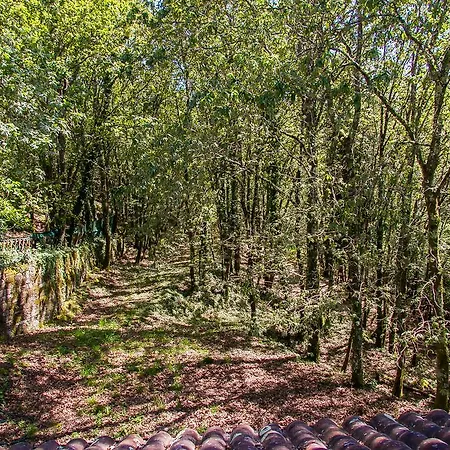 Liiiving In Caminha | Oak Tree Chill House