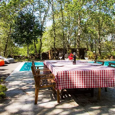 Liiiving In Caminha | Oak Tree Chill House Caminha
