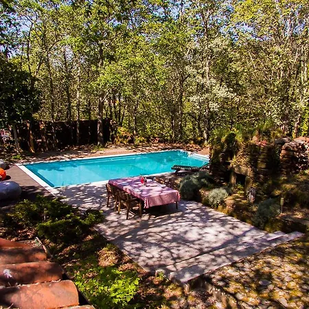 Prázdninový dům Liiiving In | Oak Tree Chill House Caminha