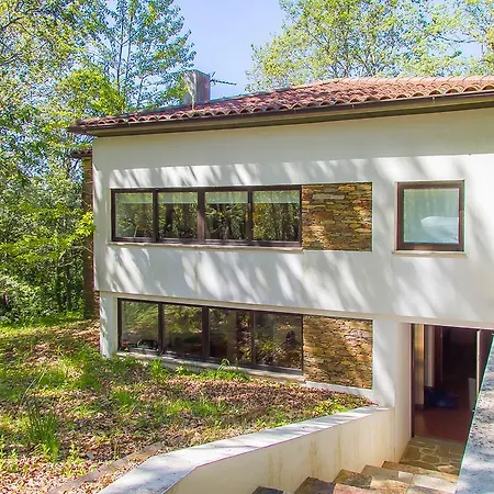 Liiiving In | Oak Tree Chill House Caminha