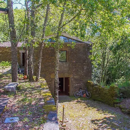 Liiiving In | Oak Tree Chill House Caminha