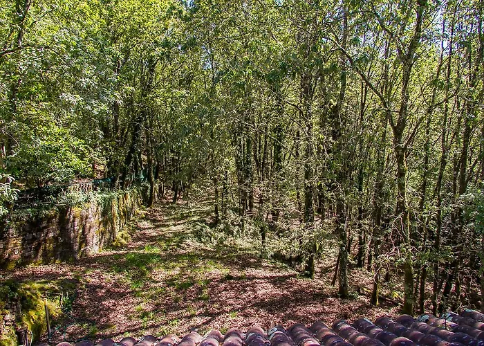 Liiiving In Caminha | Oak Tree Chill House