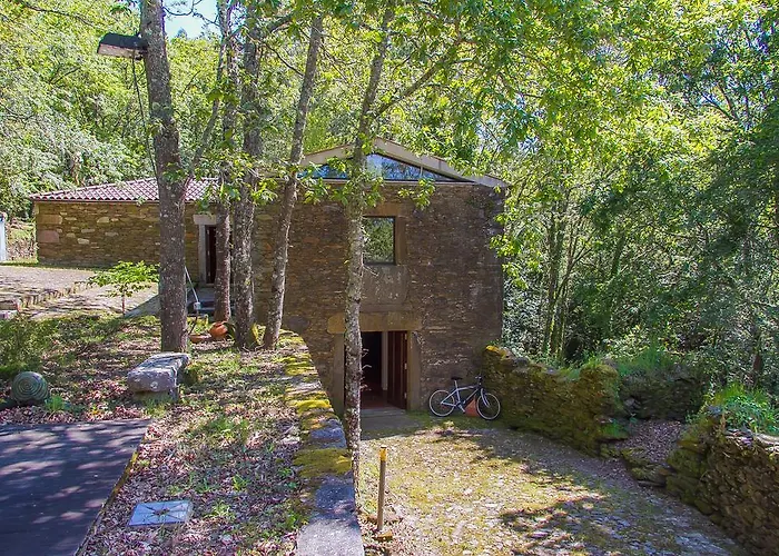 Liiiving In Caminha | Oak Tree Chill House Caminha